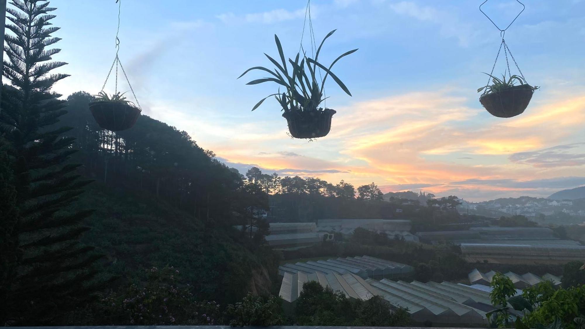 Mala Home & Coffee Dalat Exterior foto